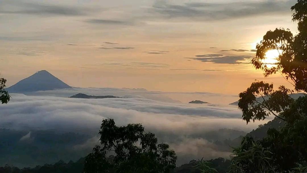 Arnolds Familly Homestay Bajawa 외부 사진